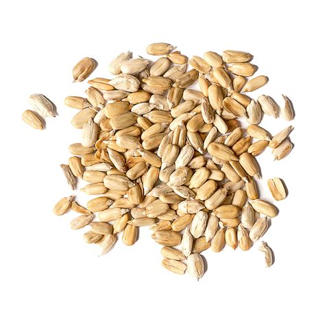 Sunflower Seeds Png Png Image Collection