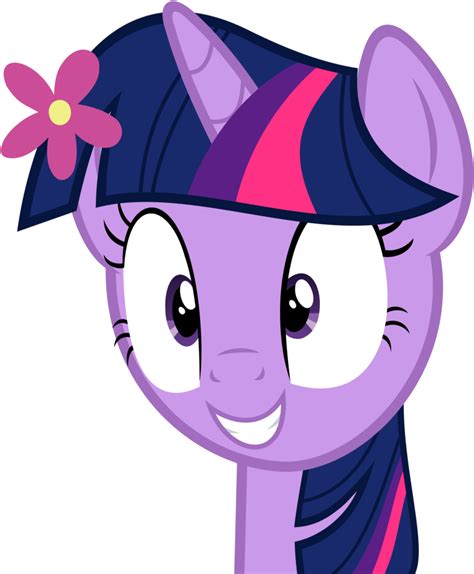 Twilight Sparkle Pinkie Pie Rarity Applejack Pony Twilight Sparkle