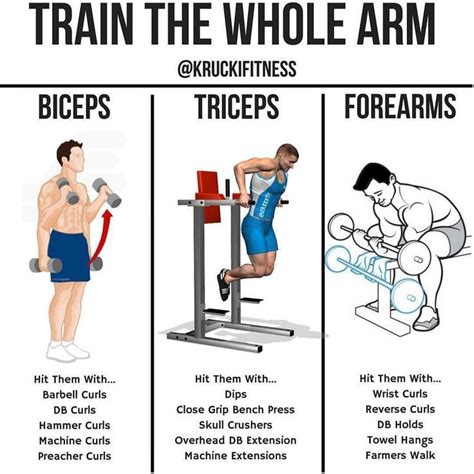 4 Powerful Workouts For Bigger Forearms Workout Gym Workout Chart