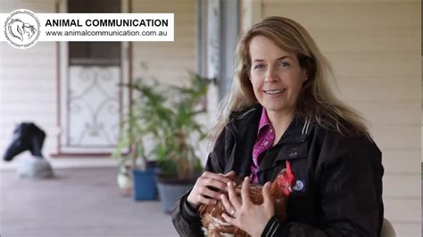 Animal Communication How To Speak Chicken Animal Fun Youtube