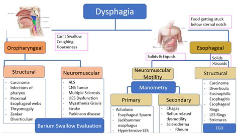 Dysphagia Differential Diagnosis Dysphagia Differential Grepmed