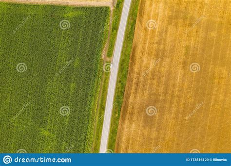 Aerial Top View Drone Photography Of A Land With Sown Green Fields In