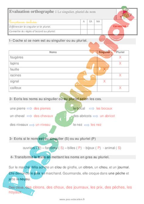 Le singulier pluriel du nom Étude de la langue Examen Evaluation