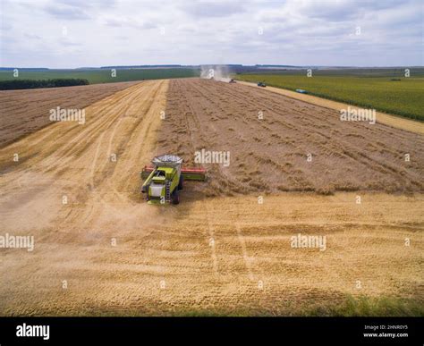 Harvesting In The Field Aerial View Wheat Field Stock Photo Alamy