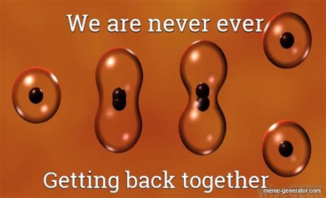 We Are Never Ever Getting Back Together Meme Generator