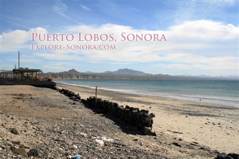Puerto Lobos Explore Sonora