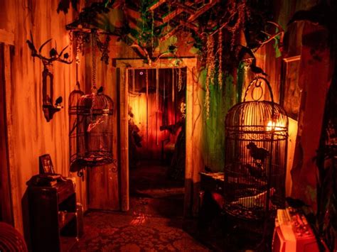 Californias 9 Best Haunted Halloween Attractions For 2021 Trips To