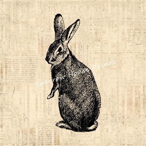 Vintage Print Bunny Wall Art Rabbit Home Decor Antique Rabbit