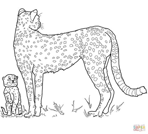 I know that baby animals is rather for girls. Baby Cheetah and Mother coloring page | Free Printable Coloring Pages