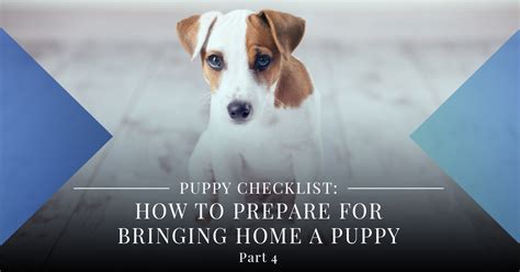 Puppy Checklist How To Prepare For Bringing Home A Puppy Pt 4 Eagle