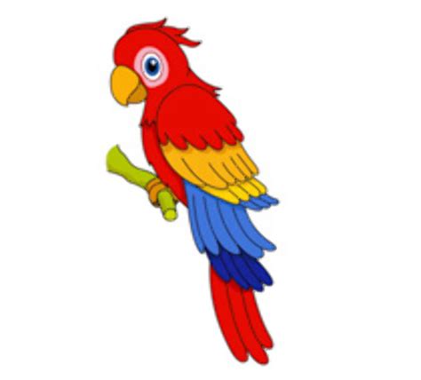 Download High Quality Parrot Clipart Red Transparent Png Images Art