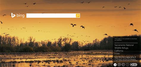 Microsoft Bing A Search Engine With Stunning Wallpapers
