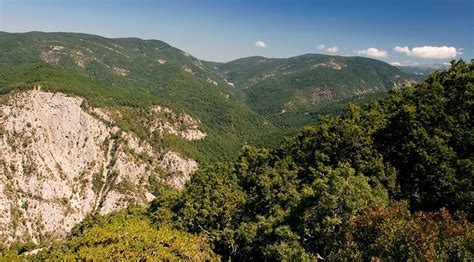 Kaz dağları millî parkı'ndaki kazdağı trekking parkurları, dik, inişli çıkışlı ve engebeli araziler boyu oluşturulmuştur. Kaz Dağları'nın şehri Balıkesir'in gezilecek tarihi ve turistik yerleri… - Seyahat haberleri