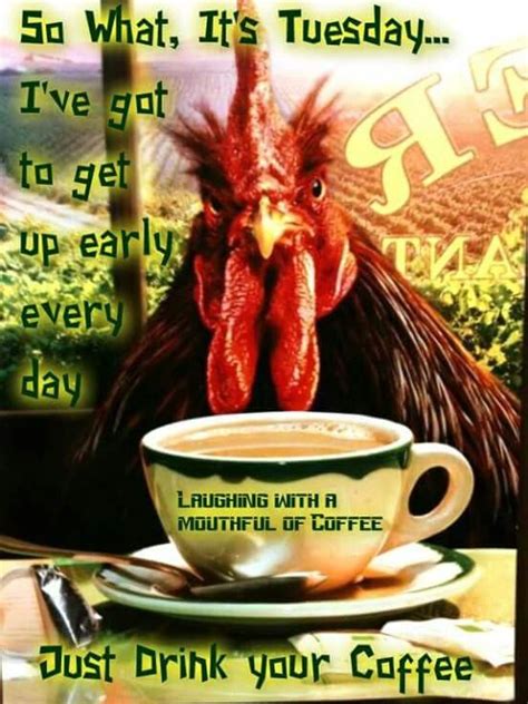 Funny Morning Coffee Pictures Decent Image Scraps Good Morning