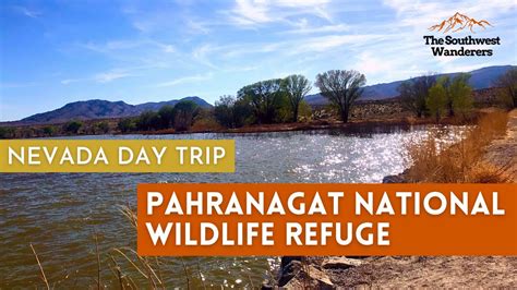 Nevada Adventures Pahranagat National Wildlife Refuge Youtube