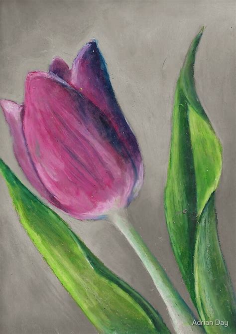 Spring Blooming Tulip Flower Original Oil Pastel Painting By Adrian