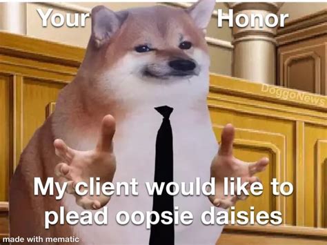 your honor my client would like to plead oopsie daisies ifunny