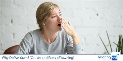 Why Do We Yawn All Causes And Best Facts Of Yawning