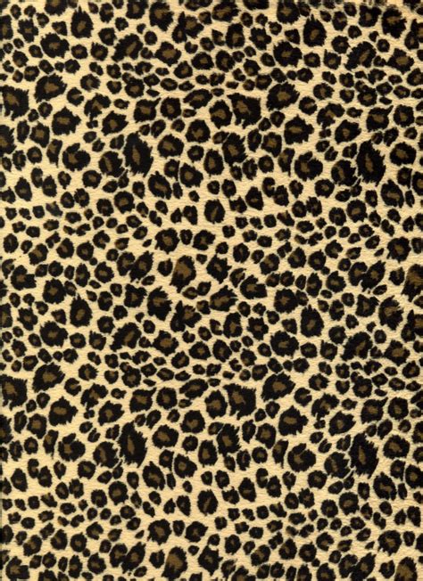 Cheetah Print Wallpaper Enwallpaper