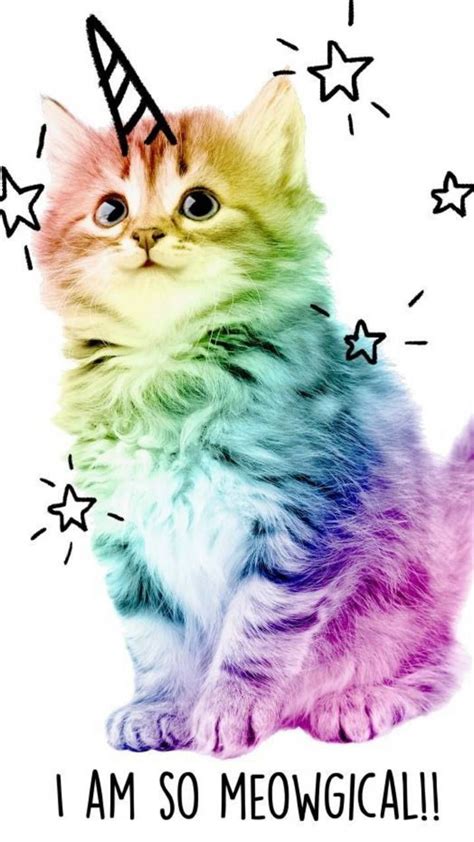 Download Kitten Wallpaper By Rainbowrose1993 40 Free On Zedge Now