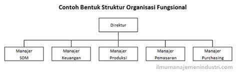 Struktur Organisasi Fungsional Dan Divisional Catatan Mahasiswa