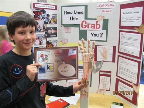 10 Stylish Seventh Grade Science Fair Project Ideas 2024