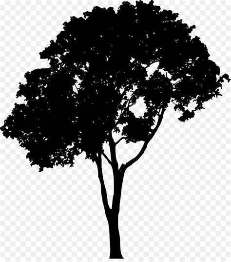 Free Tree Vector Silhouette Download Free Tree Vector Silhouette Png