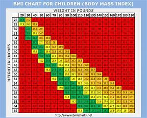 Children Body Composition Body Mass Index Chart