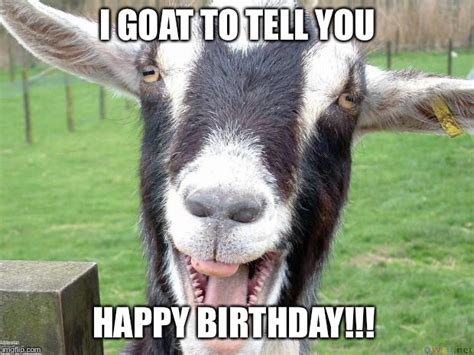 Goat Birthday Meme