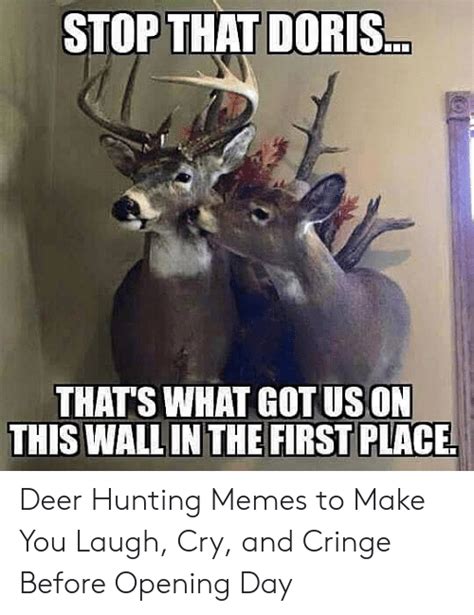 25 Best Memes About Funny Deer Hunting Memes Funny Deer