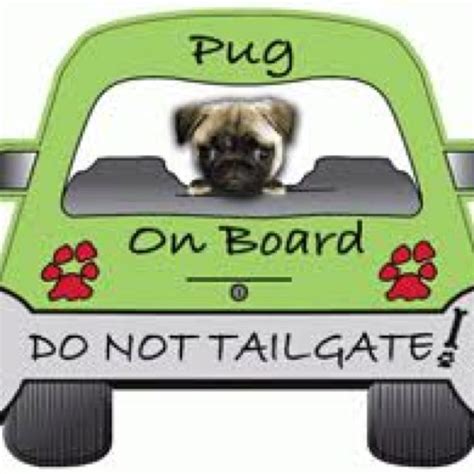 Pug On Board Pug