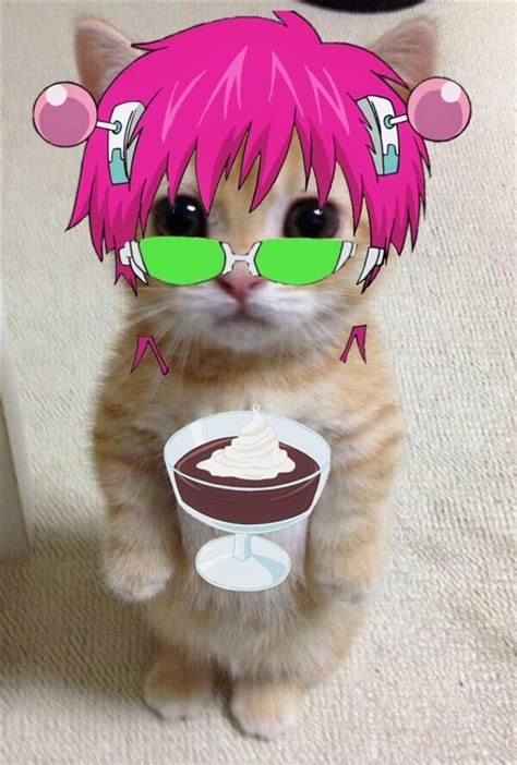 Saiki Pfp Saiki K Funny Anime Pics Anime Kitten Anime Cat