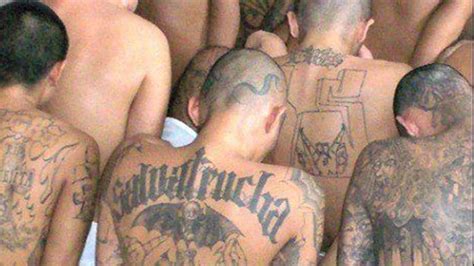 why ms 13 is more dangerous than isis on air videos fox news