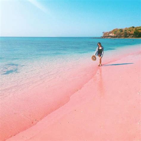 The Best Pink Sand Beaches Around The World Amazing Places Katalay Net