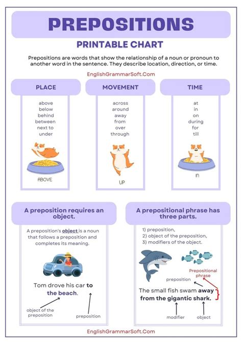 The Prepositions Poster Shows Different Types Of Prepositions