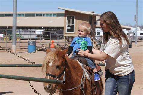 Petting Zoo And Pony Rides Roots N Boots Queen Creek
