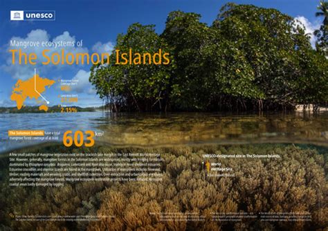 Mangrove Ecosystems Of The Solomon Islands