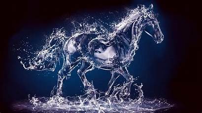 Animated Water Horse Liquid Desktop Wallpapers