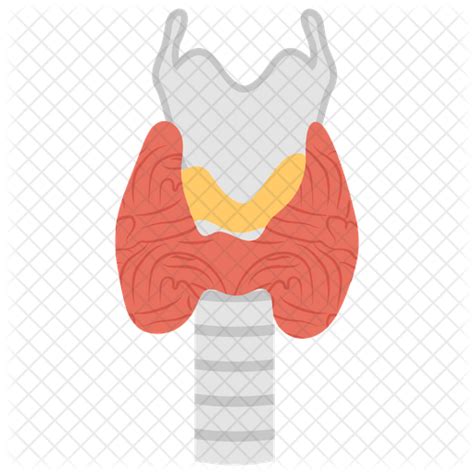Thyroid Gland Icon Download In Flat Style