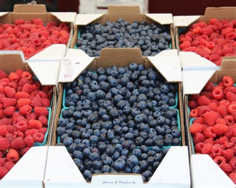 Essington Fruit Farm & Pick Your Own | Wolverhampton | Families Online