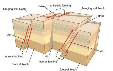 Types Of Tectonic Faults Normal Fault Strike Slip Fault And Reverse