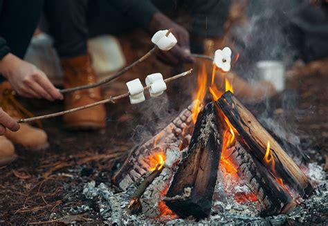 Portable Campfire Offers Save 69 Jlcatjgobmx