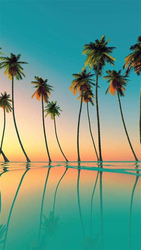 Top 8 Purple Palm Tree Backgrounds For Your Android Or Iphone