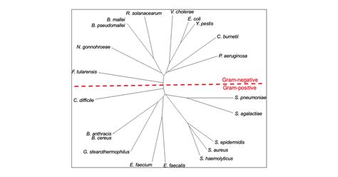theoretical development of dnag primase as a novel narrow spectrum antibiotic target acs omega