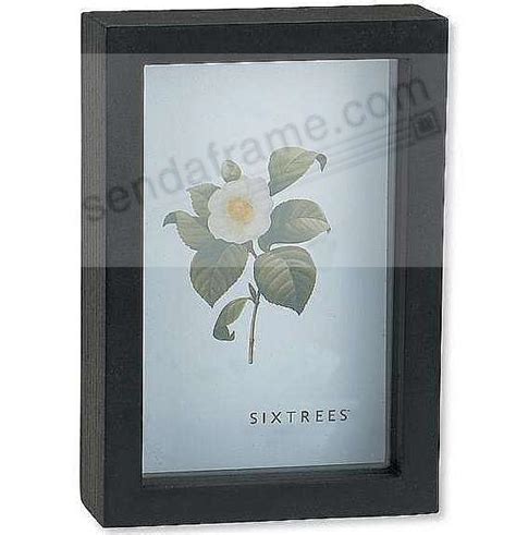 Ebony Black 4x6 Shadow Box by Sixtrees® - Picture Frames, Photo Albums