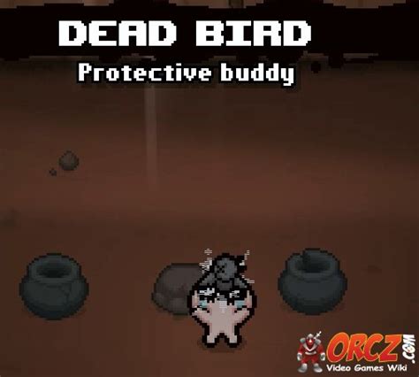 Binding Of Isaac Rebirth Dead Bird The Video Games Wiki