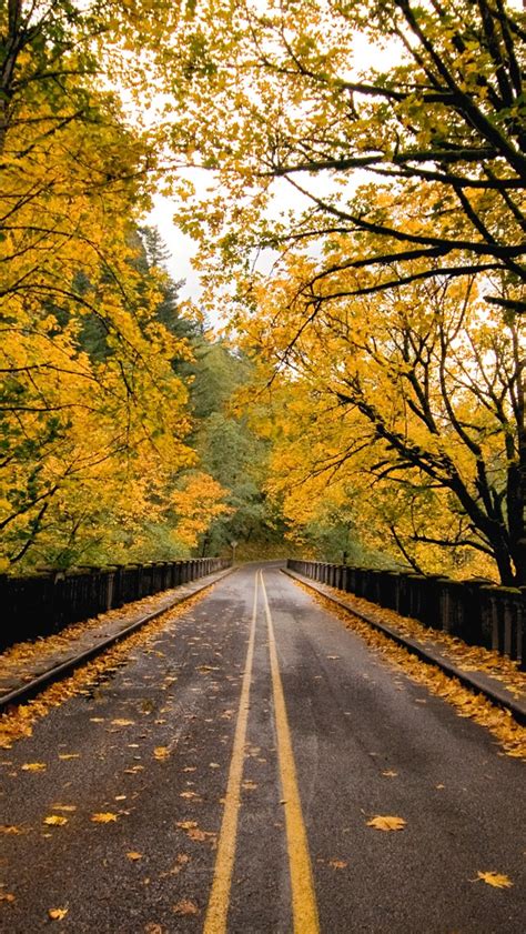 Autumn Road Iphone Wallpapers Free Download