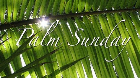 Palm Sunday Of The Lords Passion In Person 24410 Calvert St