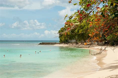 A window to our turquoise seas and white sand, adds the perfect back drop for the. Waves Resort Barbados: Reviews (UPDATED 2017)