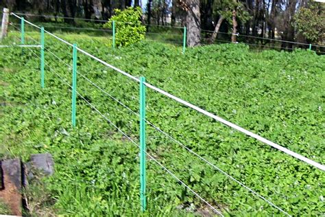 Electric fences are designed to create an electrical circuit one terminal of the power energizer releases an electrical pulse along a connected bare wire about. File:Plastic electric fence post "Fibopost".JPG - Wikimedia Commons